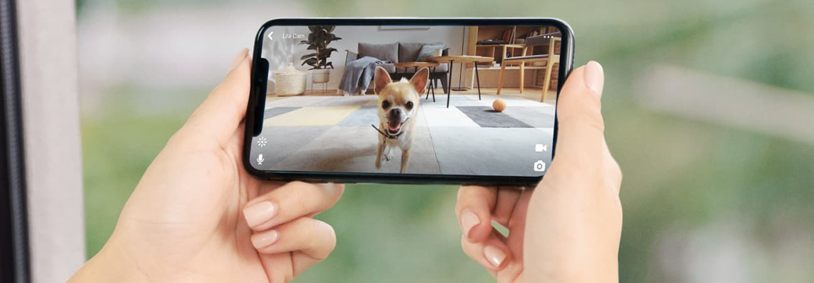 Petcube Play 2