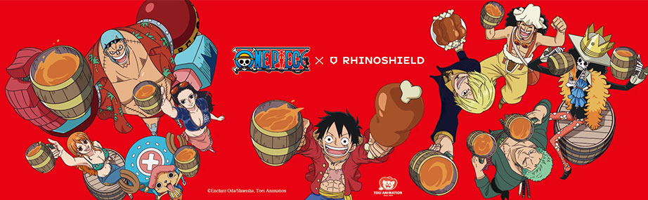 One Piece Banner