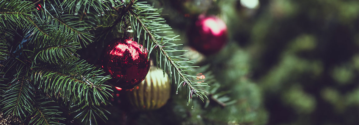 Dekoration - Weihnachten - Mehr entdecken