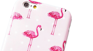 Cases kaufen für iPhone und Samsung
