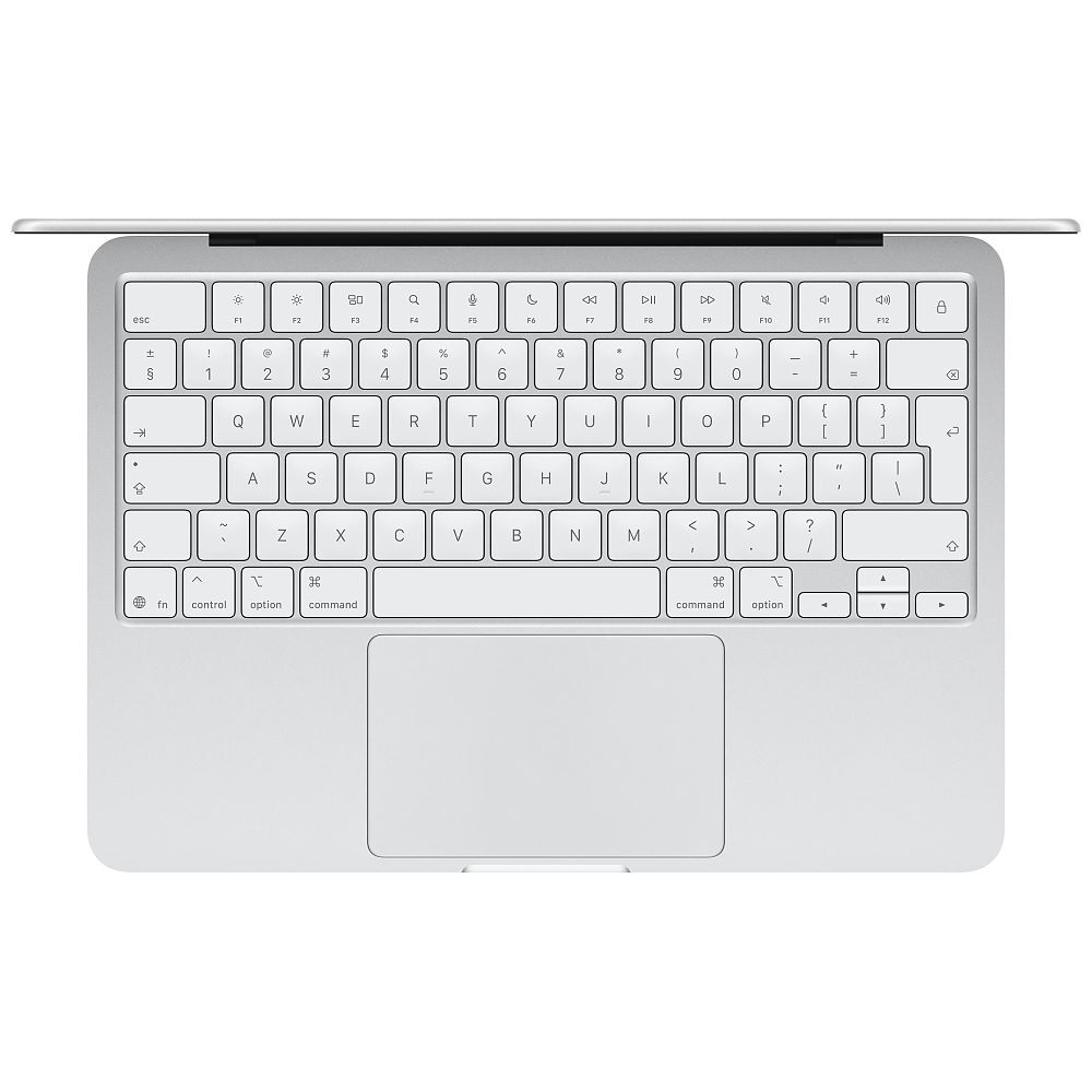 Apple 13