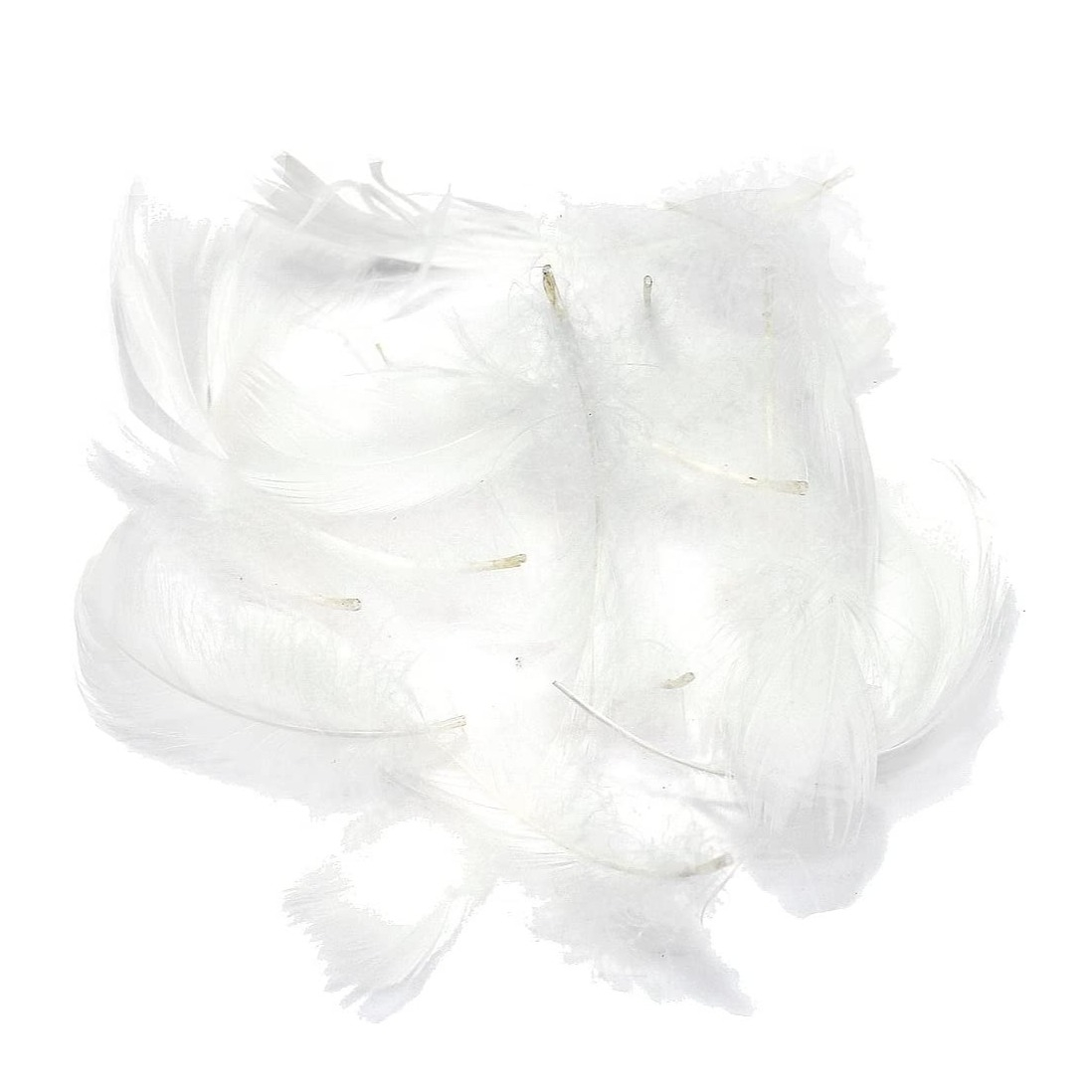 Image of (100er Set) Deko Federn Party / Geburtstag / Hochzeit - Weiss bei Apfelkiste.ch