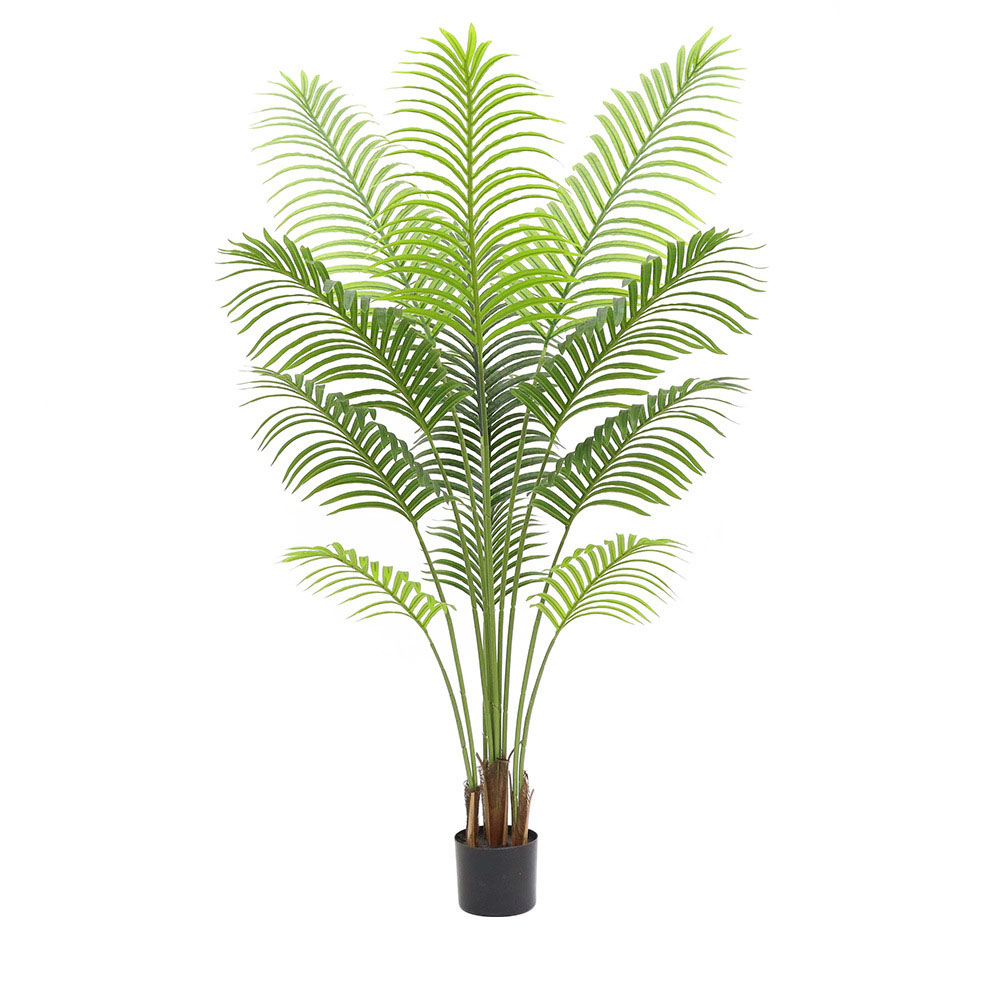 monstera adansonii moosstab Monstera adansonii sub klotschiana — Ecuagenera USA Corp main image 0