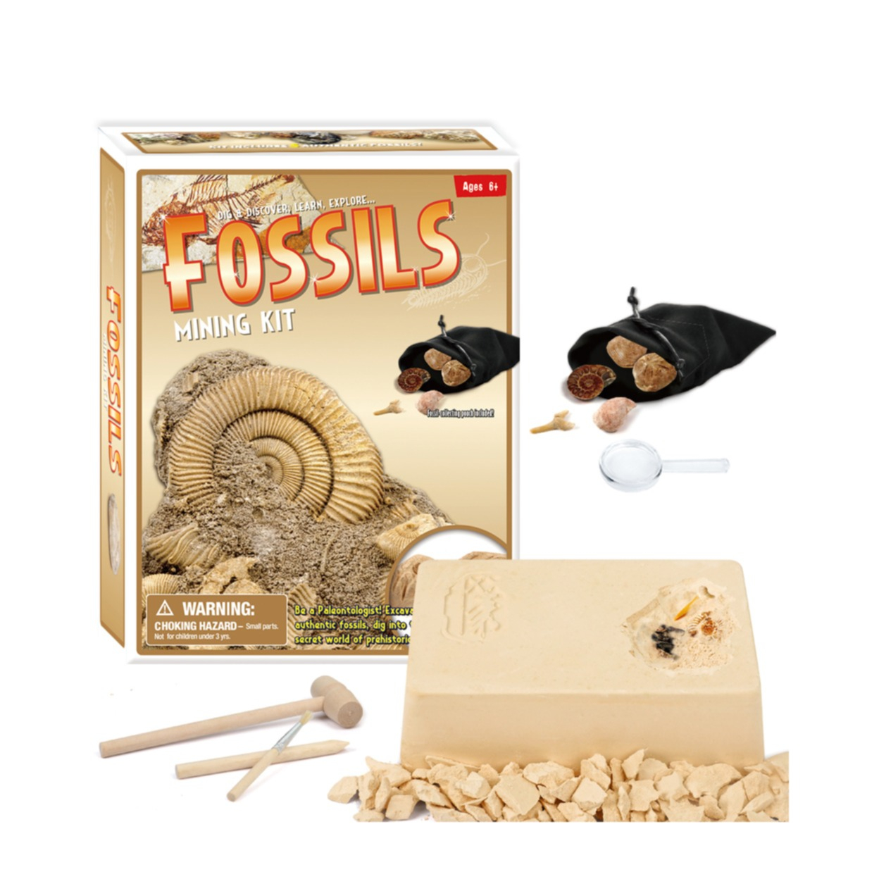 Image of (25-tlg. Set) Dig Kit Archäologisches Ausgrabungs Spiel Mineralgeologie - Fossil bei Apfelkiste.ch