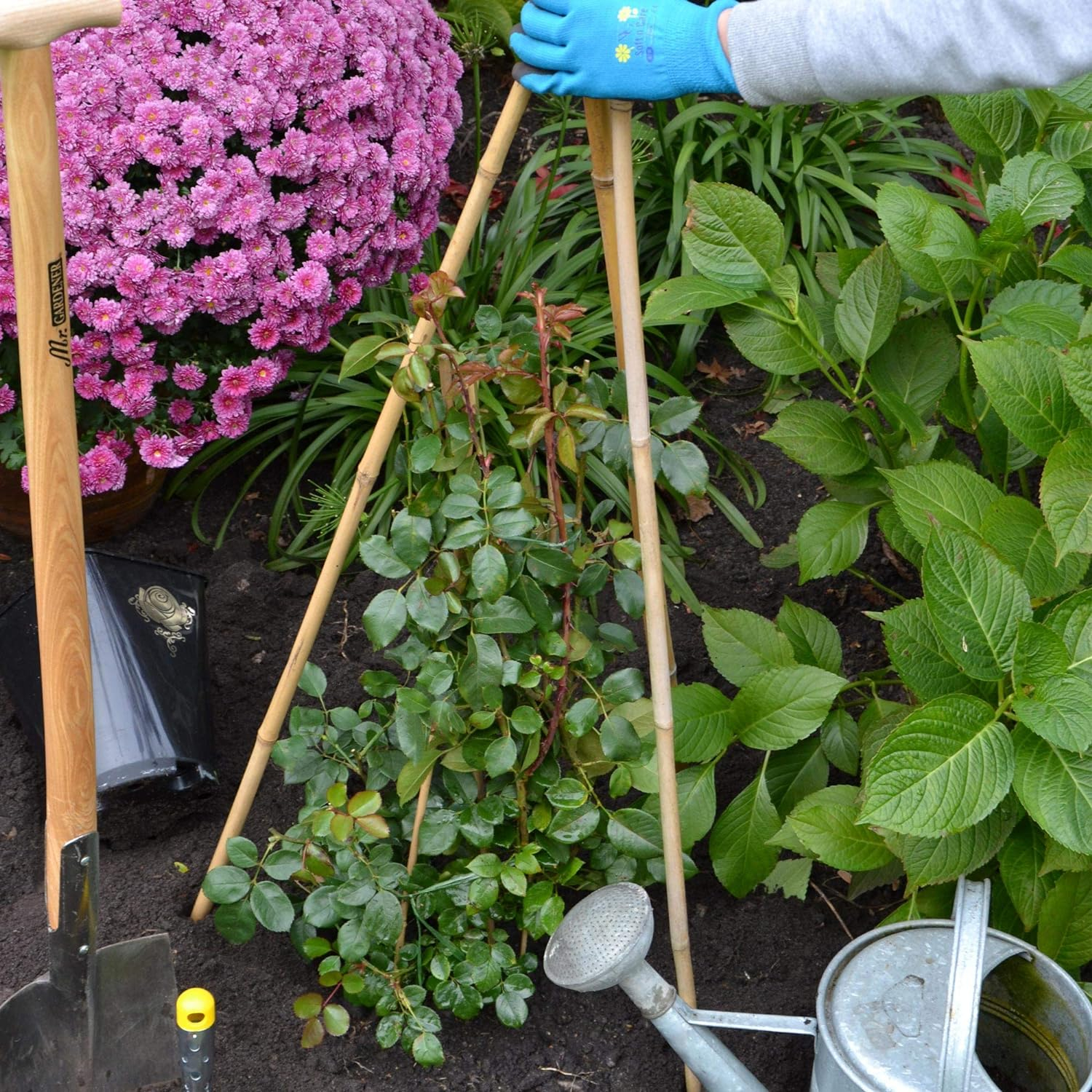 Bambus Garten Pflanzen Stab Blumen Rankhilfe Sttze