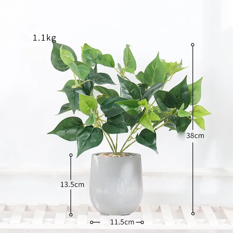 monstera deliciosa thai constellation kaufen Monstera Thai Constellation Cheese Plant Variegated 6cm Pot main image 0