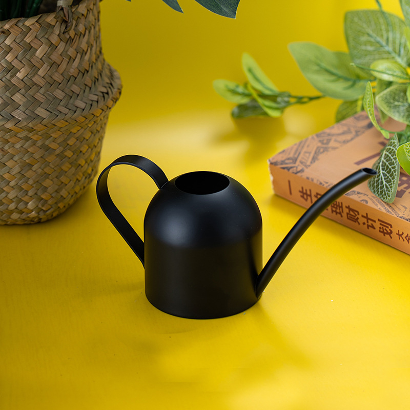 bambus wohnung pflege Bambuspflanze in Hydrokultur kaufen – Green Me Up