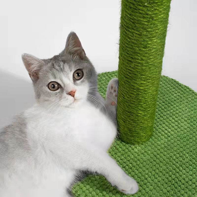 60x30cm) Katzen Kratzstamm Sisal Kaktus Kratzsule