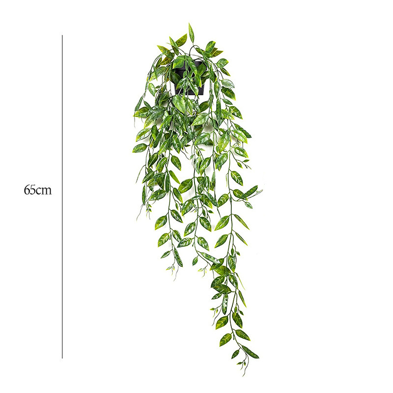 portugiesischer kirschlorbeer frost Portugiesischer Kirschlorbeer (Prunus lusitanica 'Angustifolia') | 140 cm  Fertighecke