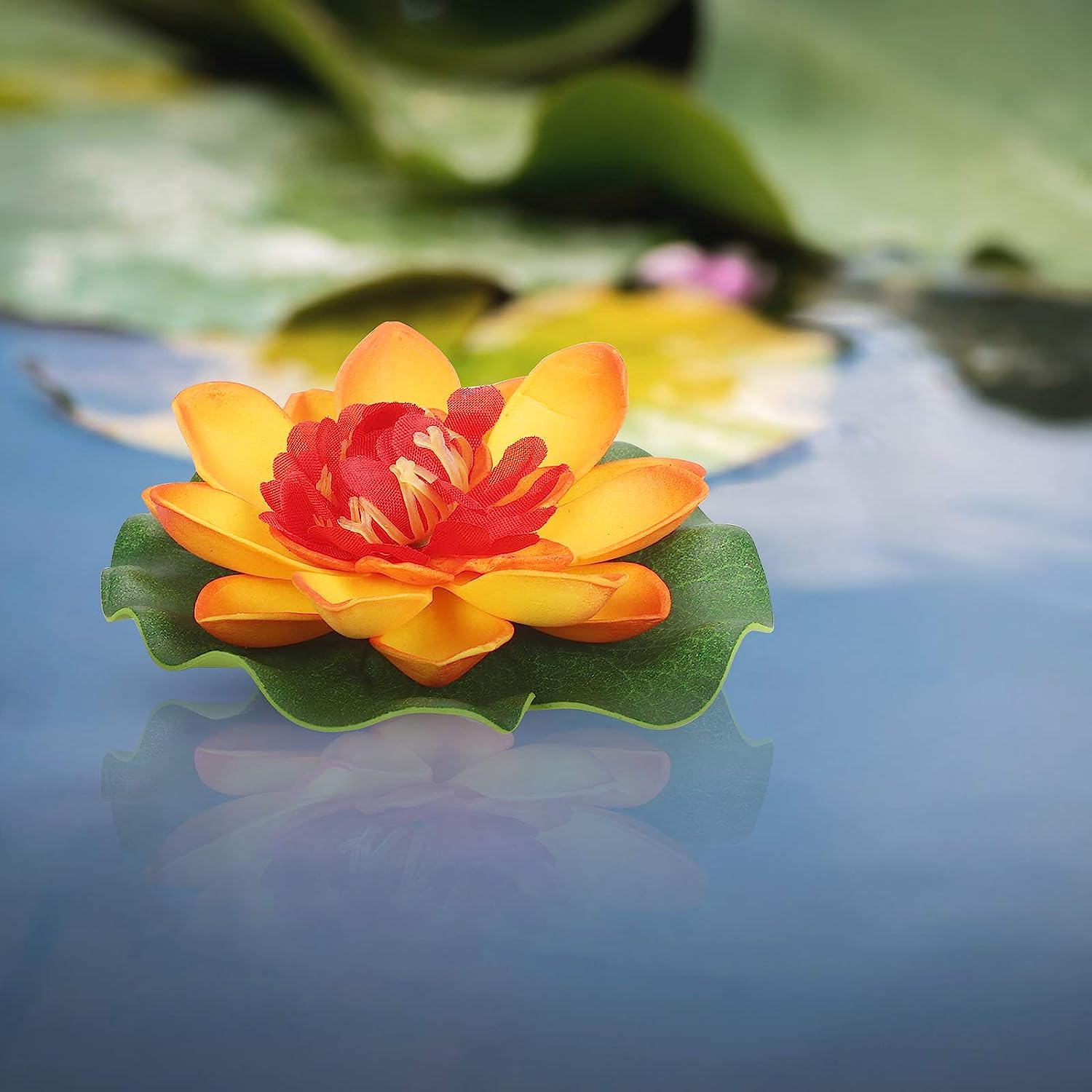 8er Set) Schwimmende Seerosen Teich Lotus Bltter