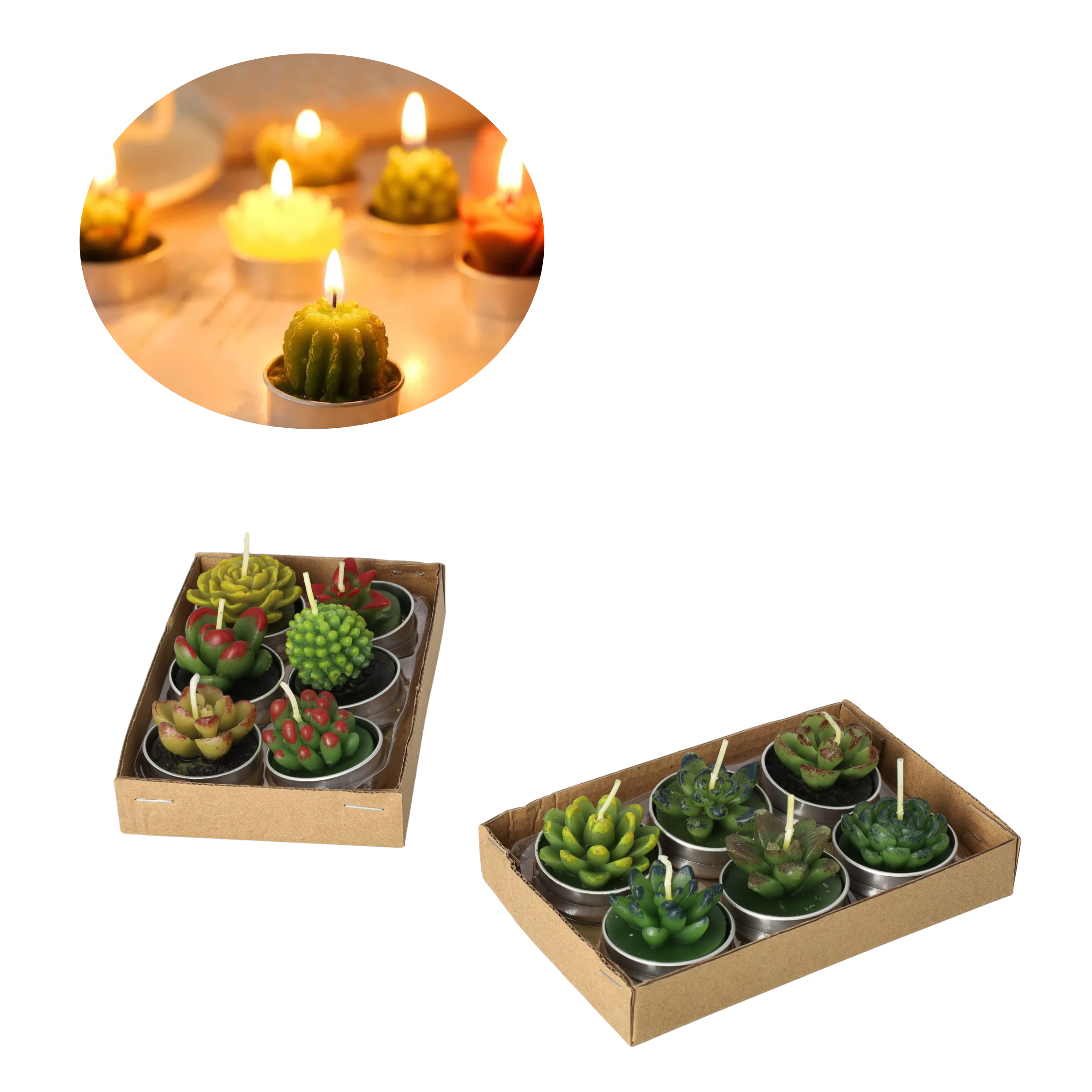 12er Set Sukkulenten Rechaud Kerze Home Deko Kaktus