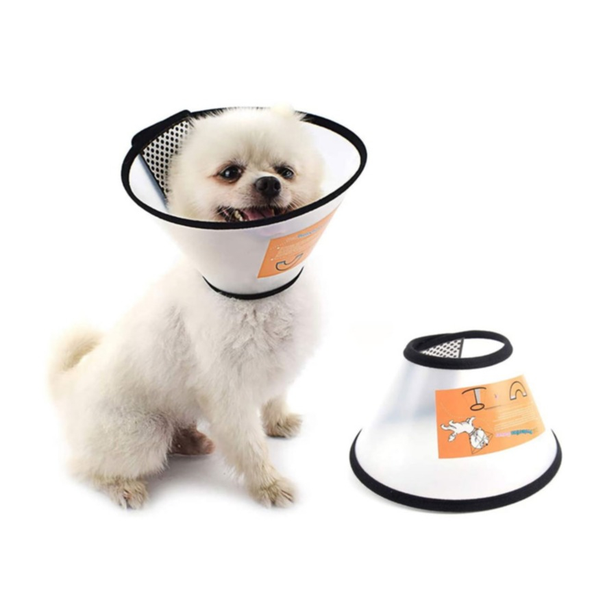 Image of (28-34cm) Hunde Kragen Wunden Schutz Haustier Halskrause mit Klettverschluss bei Apfelkiste.ch