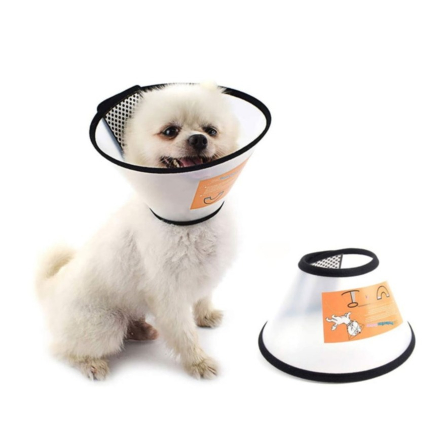 Image of (33-41cm) Hunde Kragen Wunden Schutz Haustier Halskrause mit Klettverschluss bei Apfelkiste.ch