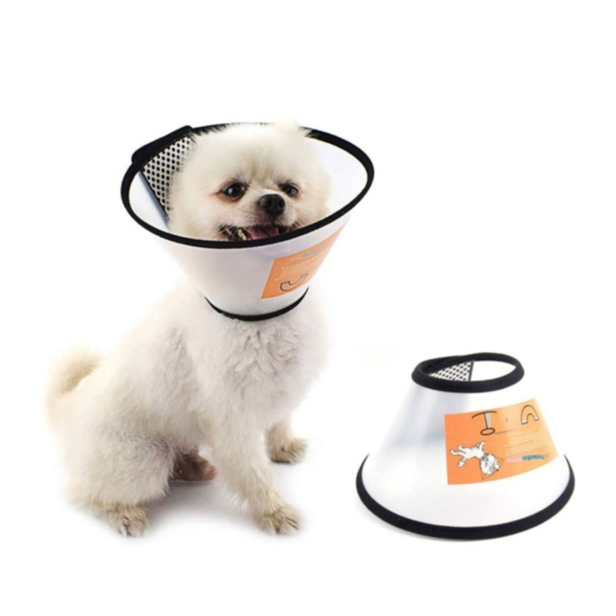 Image of (35-44cm) Hunde Kragen Wunden Schutz Haustier Halskrause mit Klettverschluss bei Apfelkiste.ch