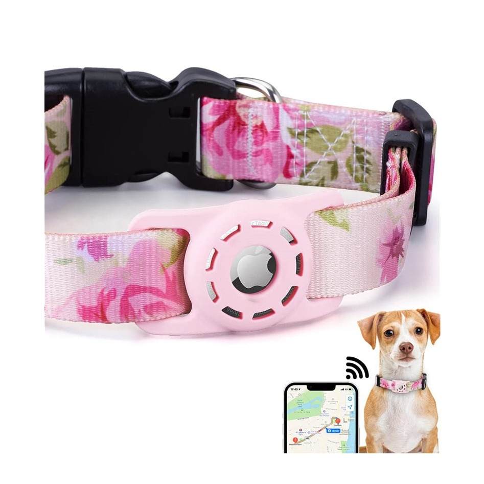 leine halsband Softshellhalsband & Leine türkis – Souleashes