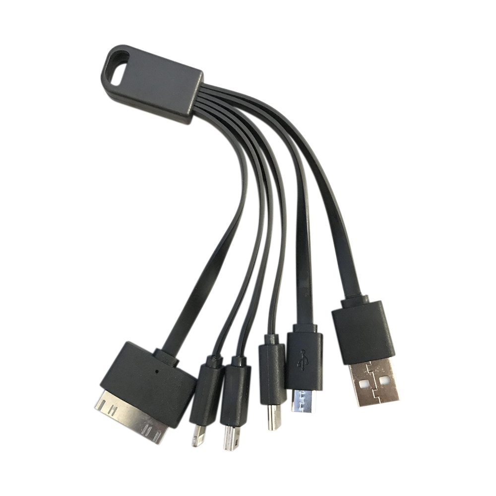 Image of (8.5cm) 5in1 USB Ladekabel auf Lightning / USB C / Micro USB / Apple 30pin / Mini USB Adapter - Schwarz bei Apfelkiste.ch