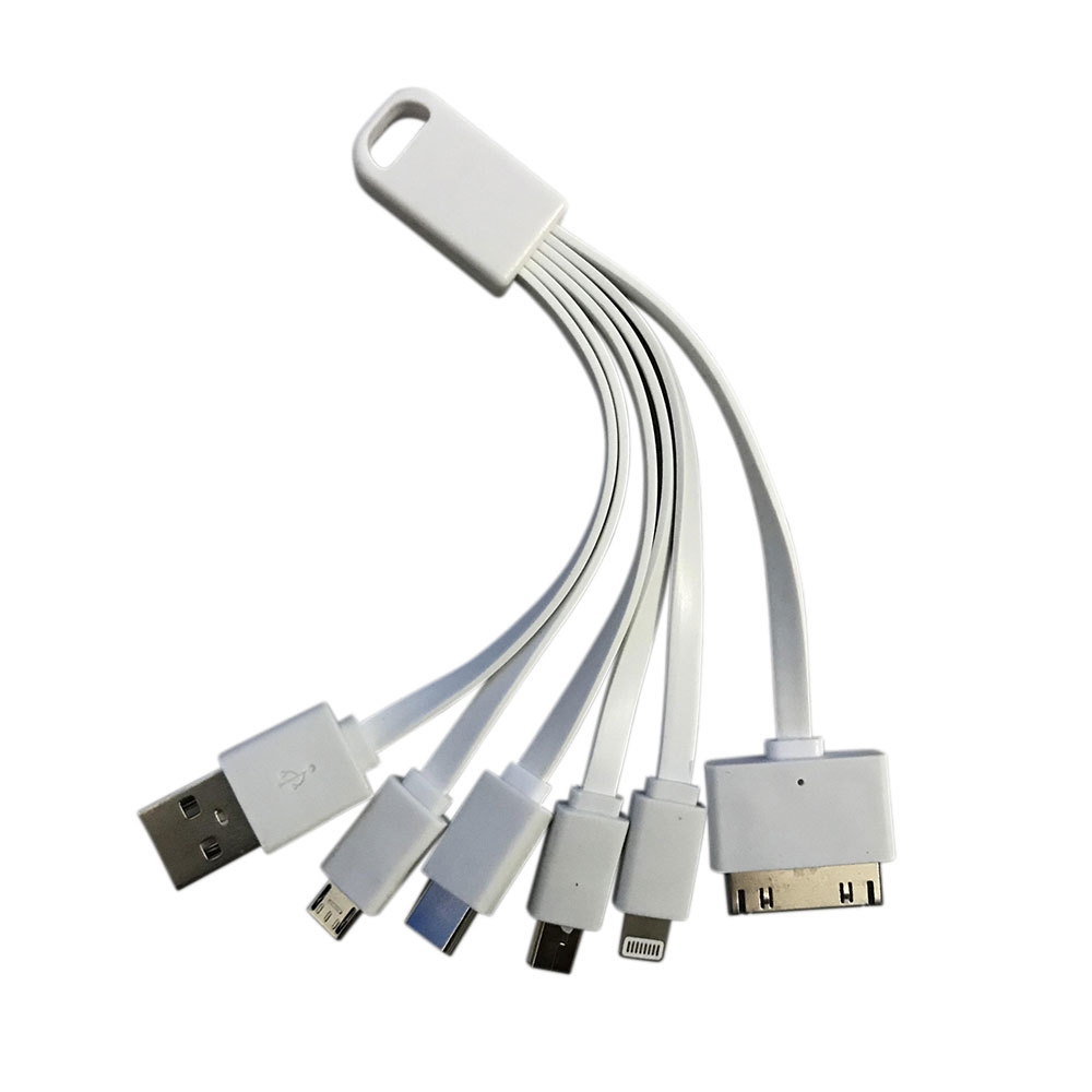 Image of 5in1 (8.5cm) USB Ladekabel auf Lightning / USB C / Micro USB / Apple 30pin / Mini USB Adapter - Weiss bei Apfelkiste.ch