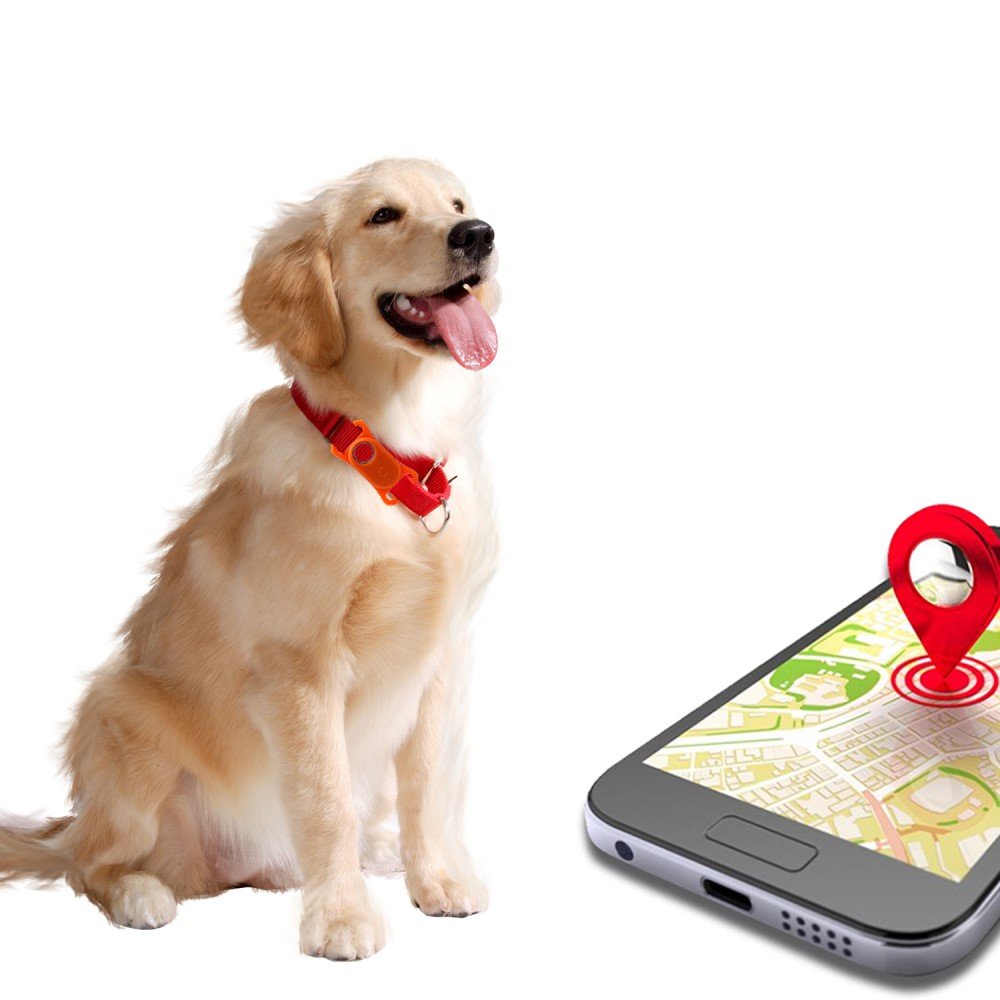 Schutzhülle für Galaxy Smarttag 2, GPS-Tracking-Hund-Katzenzubehör