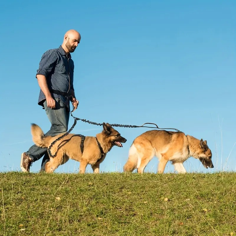 Plutus Pet Taktische Hundeleine Mit Bungee – 120–155 Cm, 2 Griffe, Reflektierend