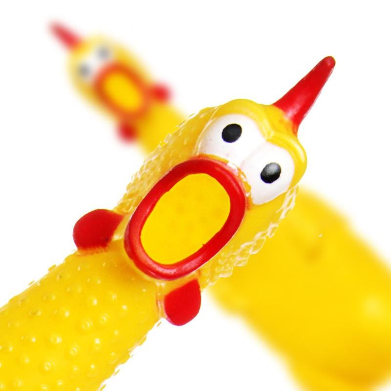 DAJOOEE Quietsch-Hunde-Spielzeug Set – 5 Gummiartige Spielzeuge Für Kleine & Mittlere Hunde