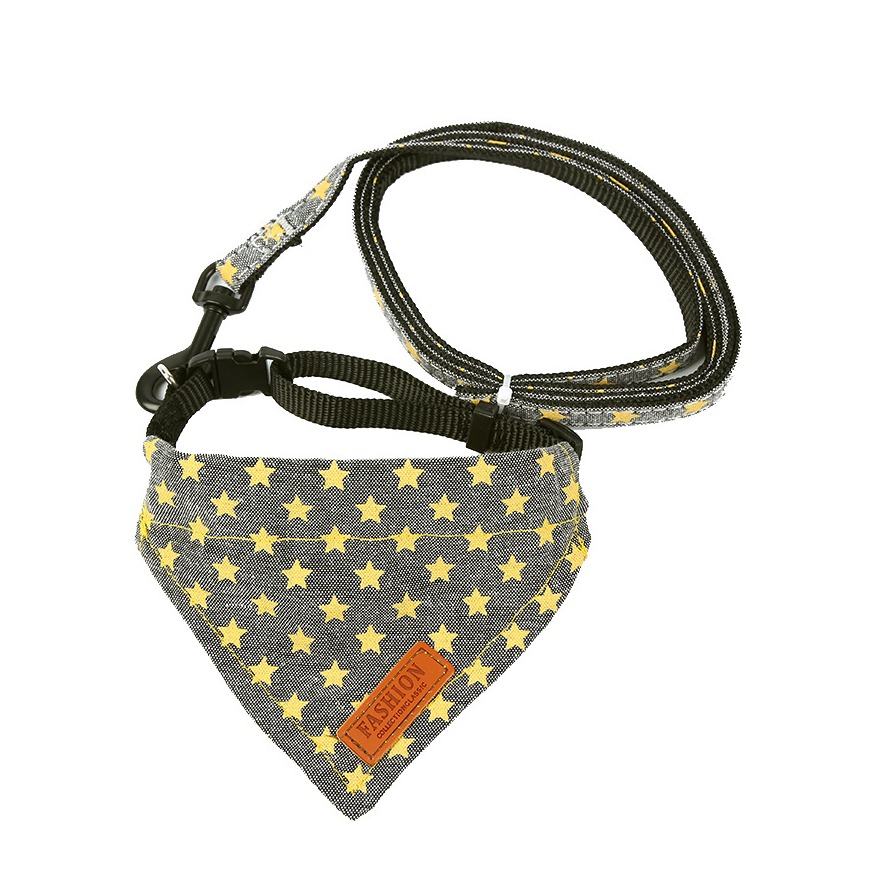 Image of (Gr. L) Verstellbares Hunde Halsband mit Abnehmbarer 120cm Leine + Bandana Tuch - Grau bei Apfelkiste.ch