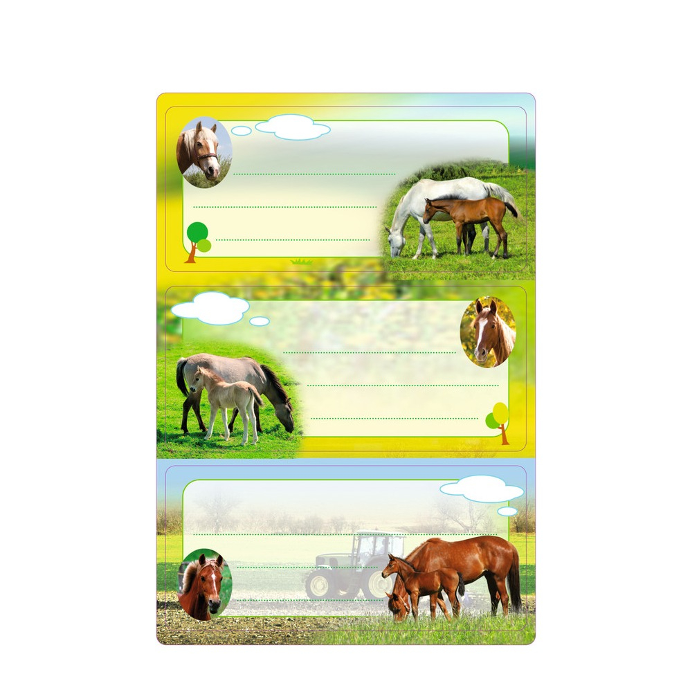 Image of Herma - (6er Set) Vario Schuletiketten Selbstklebende Buch Etiketten (5568) - Pferde bei Apfelkiste.ch