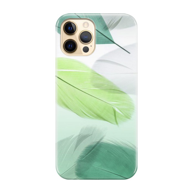 iPhone 12 Pro Max Hardcase Schutzhülle Federn - Grün / Weiss