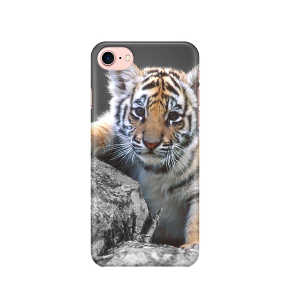 Image of iPhone SE (2022/2020) / 8 / 7 Hardcase Hülle - Baby Tiger bei Apfelkiste.ch