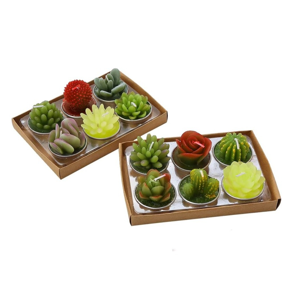 12er Set Sukkulenten Rechaud Kerze Home Deko Kaktus