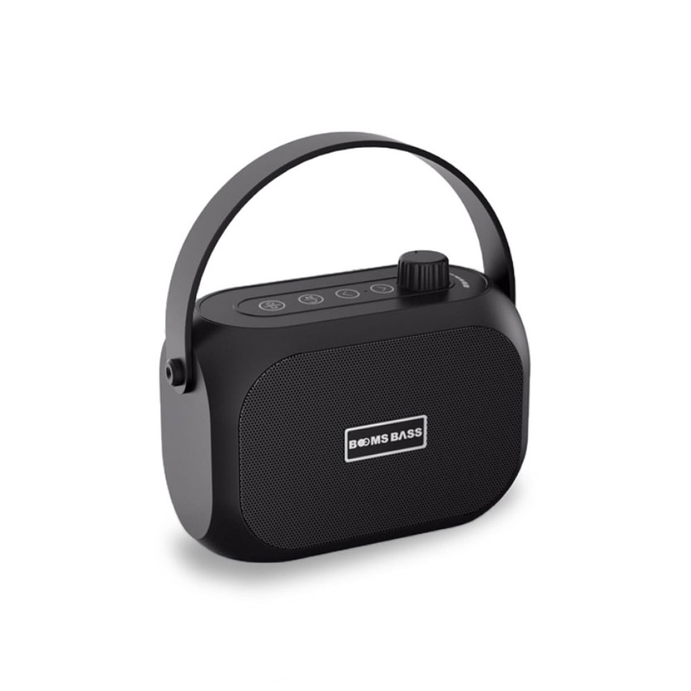 Image of Portabler Bluetooth 5.0 Lautsprecher mit FM Radio / Aux In / USB A + Micro SD / TF-Kartenslot - Schwarz bei Apfelkiste.ch