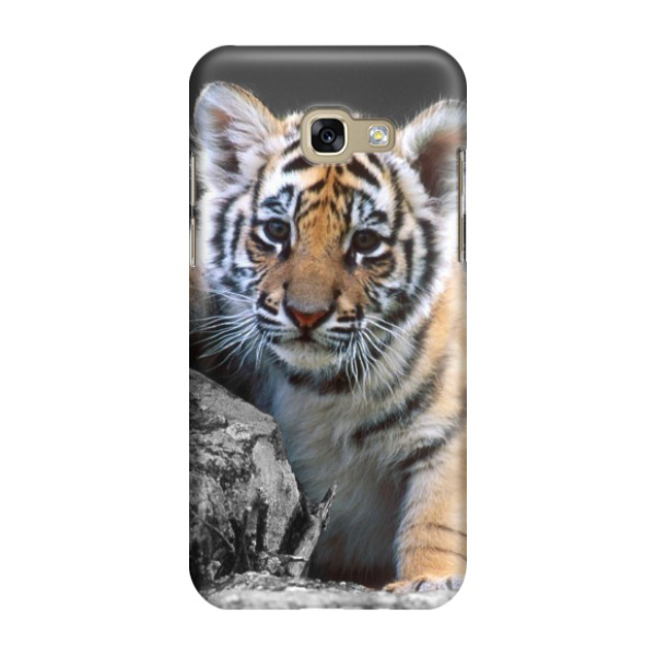 Image of Samsung Galaxy A3 (2017) Hardcase Schutzhülle Kleiner Tiger - Gold bei Apfelkiste.ch