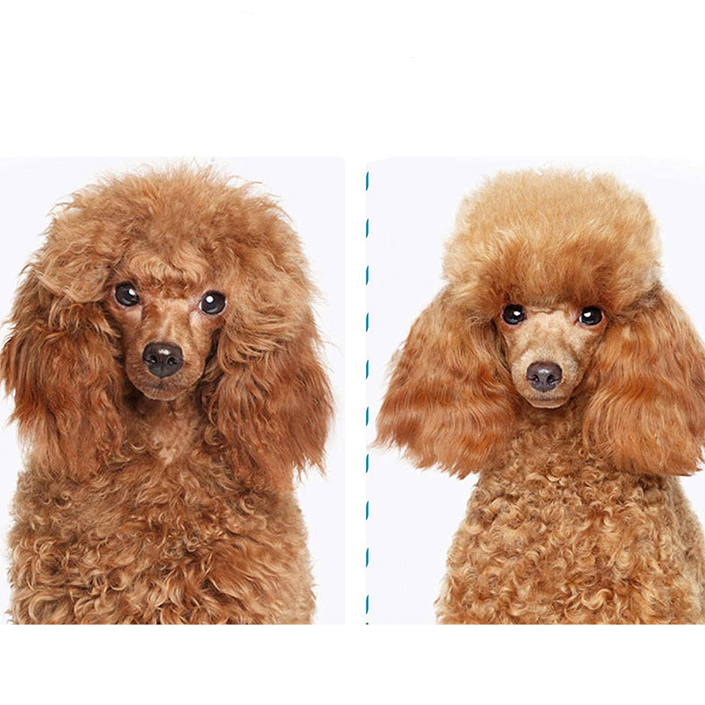 2 Stück Selbstreinigender Katzenkamm - Flohkamm Für Katzen & Hunde