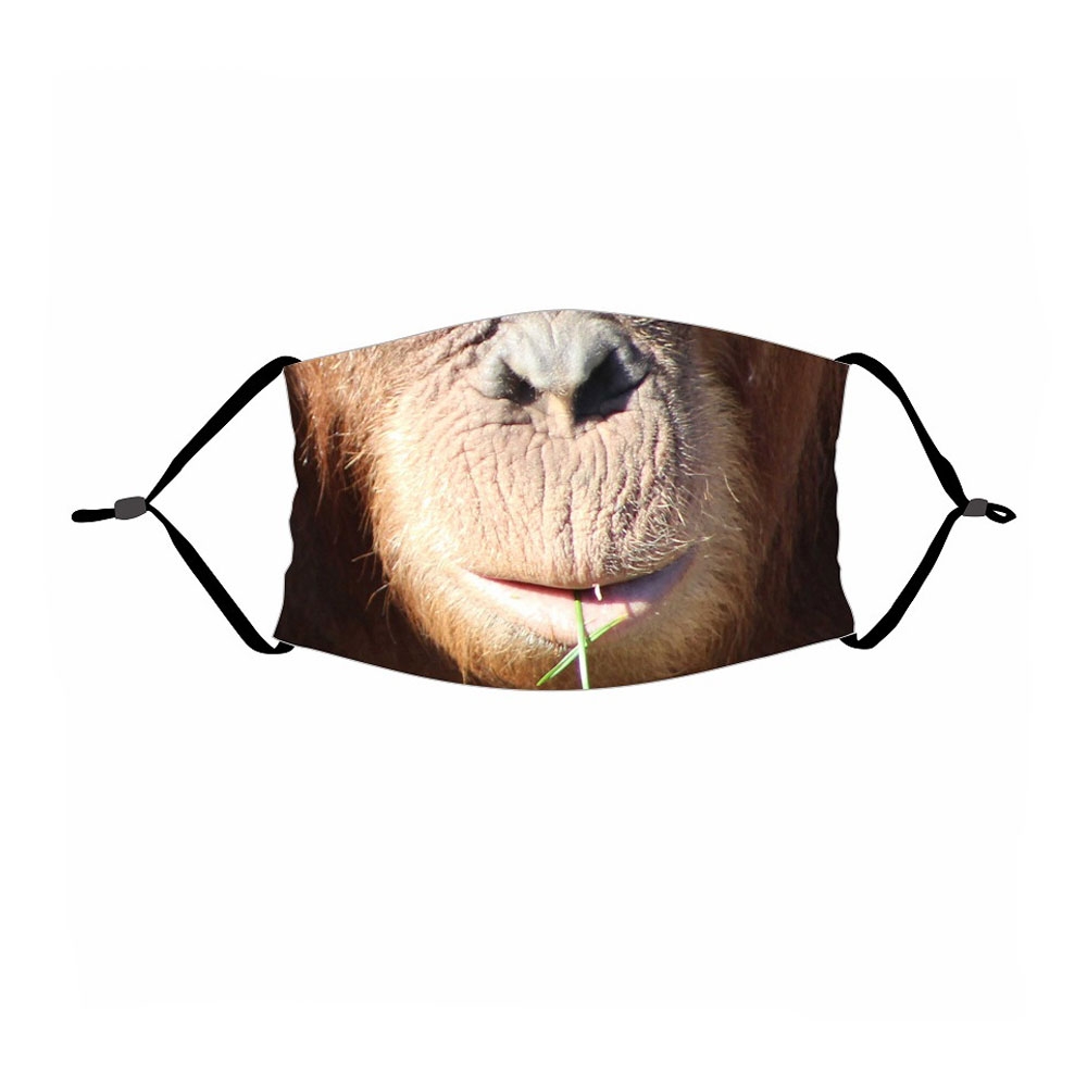 Image of Wiederverwendbare Stoff Mundschutz Hygiene Atemschutzmaske Staubschutzmaske (Grössenverstellbar) - Schimpanse bei Apfelkiste.ch