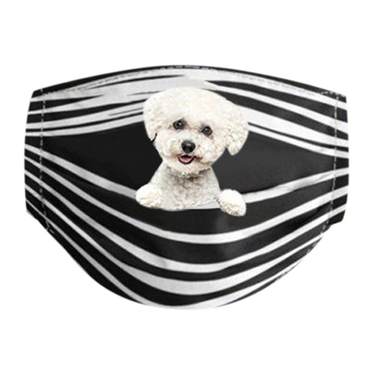 Image of Wiederverwendbare Stoff Mundschutz Hygiene Atemschutzmaske Staubschutzmaske (Grössenverstellbar) - Havaneser bei Apfelkiste.ch