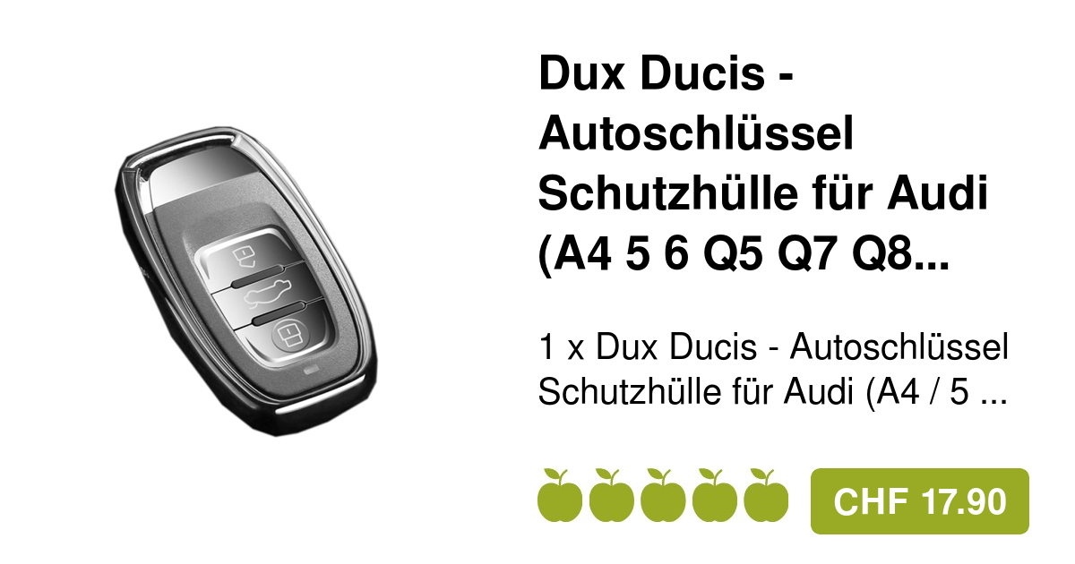 Dux Ducis Autoschlüssel Schutzhülle Audi Silber