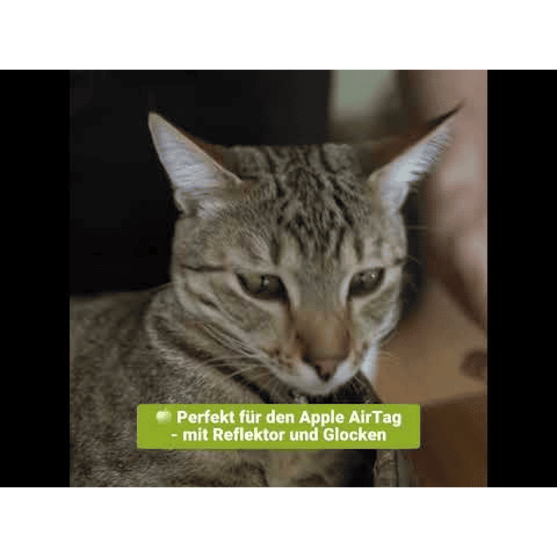 Katzen Halsband mit Apple AirTag Halterung Schwarz