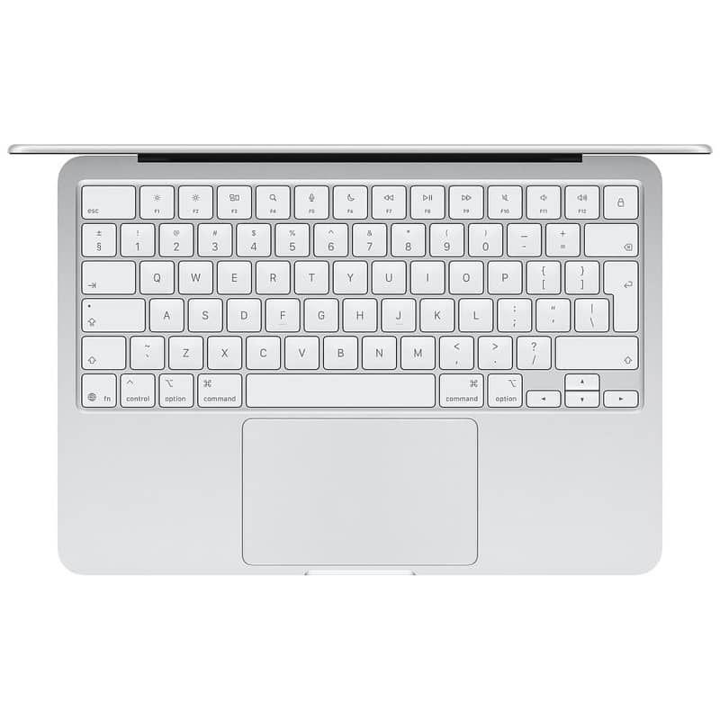 Apple 13