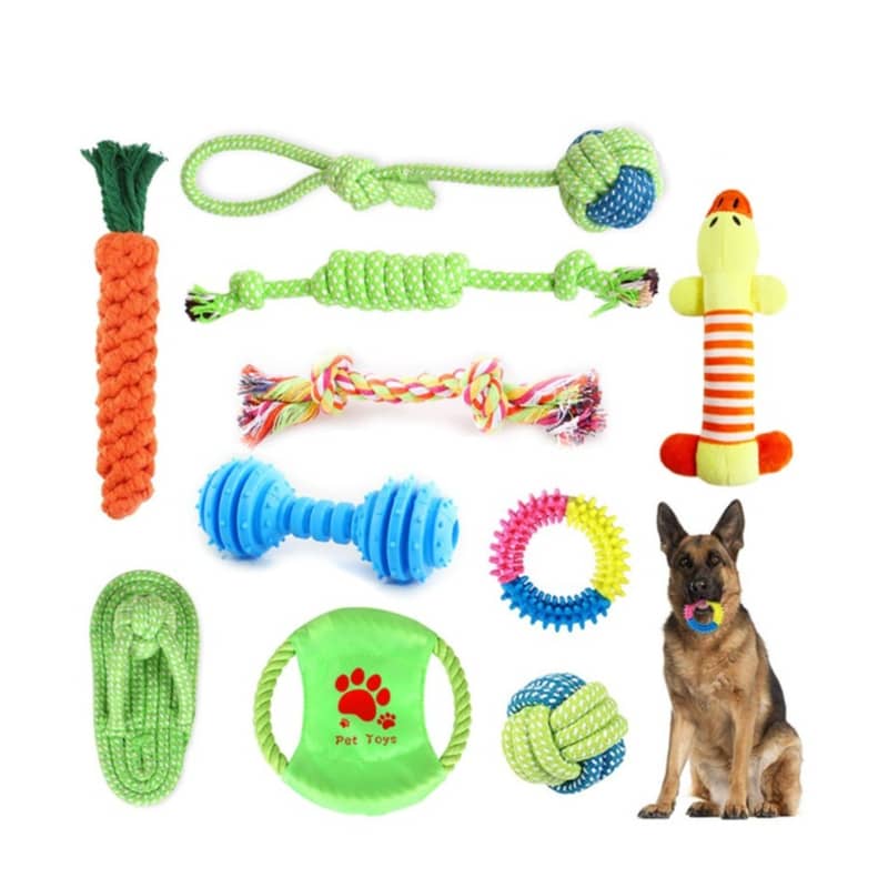 10-tlg. Set Hunde Spielzeug Welpen Trainings Kit