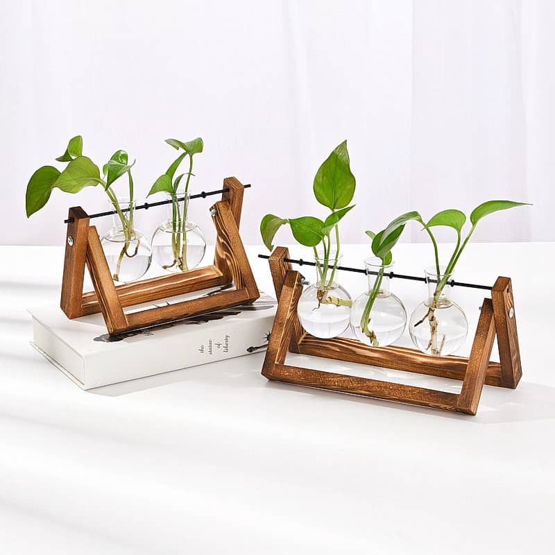 Deko Pflanzen Terrarium Hydrokultur Vasen Halterung