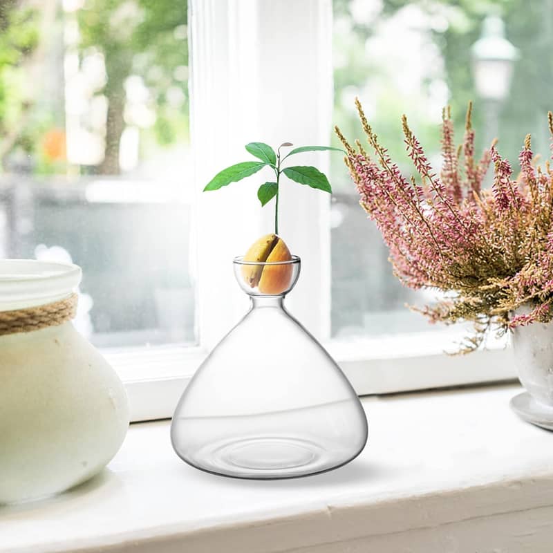 Ø5x16cm Glas Starter Vase Avocado Home Deko Pflanze