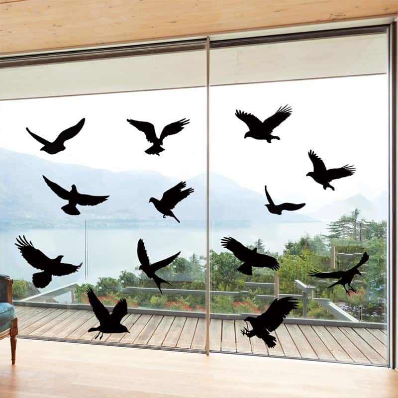 Anti-Vogel-Kollision Aufkleber auf einem Fenster, um Vögel zu