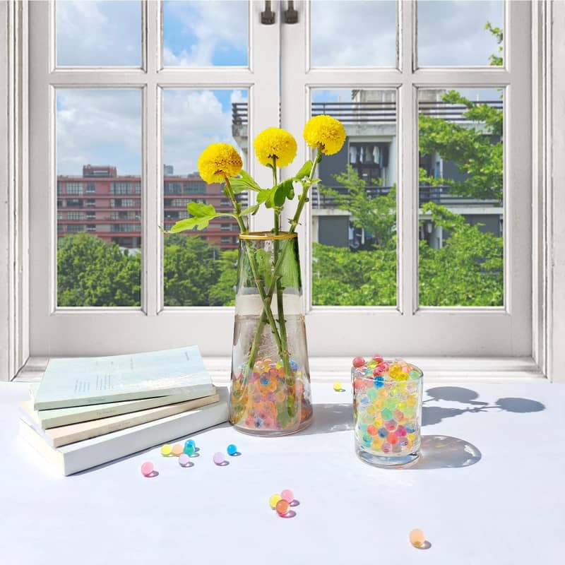 weihnachtsstern samen kaufen Blaue Weihnachtsstern-Blumensamen  Pure Asia Seeds