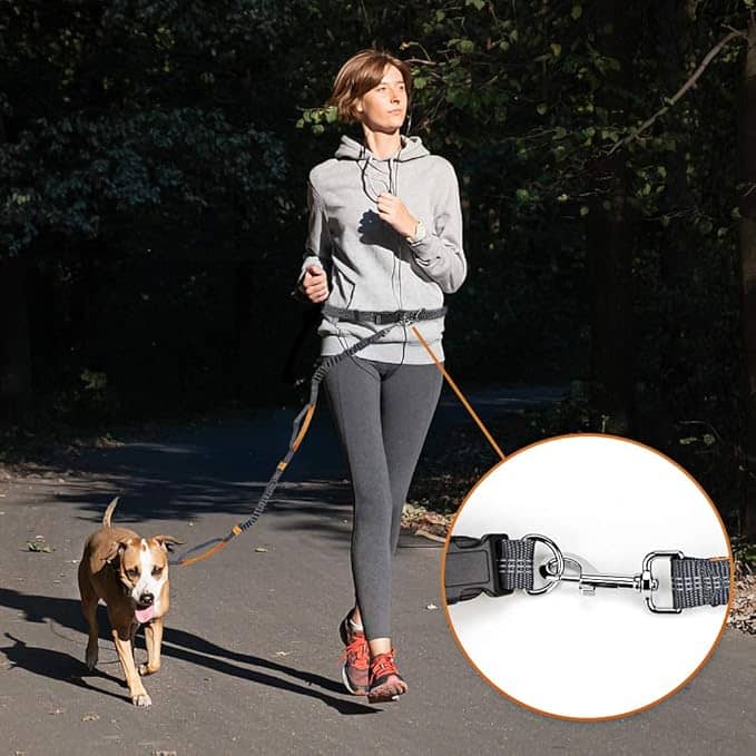 Plutus Pet Taktische Hundeleine Mit Bungee – 120–155 Cm, 2 Griffe, Reflektierend