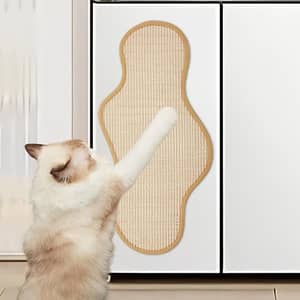 Kratzmatte Für Katzen Zur Wandmontage – 4 Stück + 1 Kratzbox, Kaktus-Design, Mit Doppelseitigem Klebeband