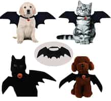 Fledermaus Kostüm Für Katzen & Hunde - Mit Flügeln Und 3D Maske Für Halloween