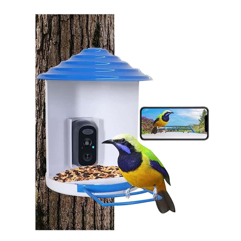 Solar Vogel Haus Outdoor Futterstation HD Kamera