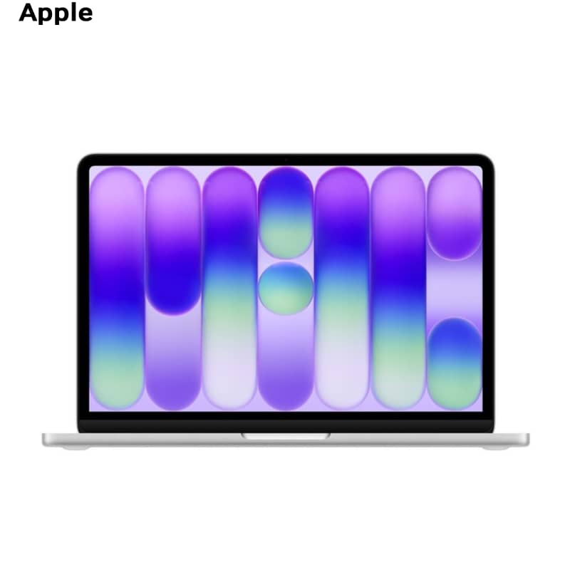 Apple 13