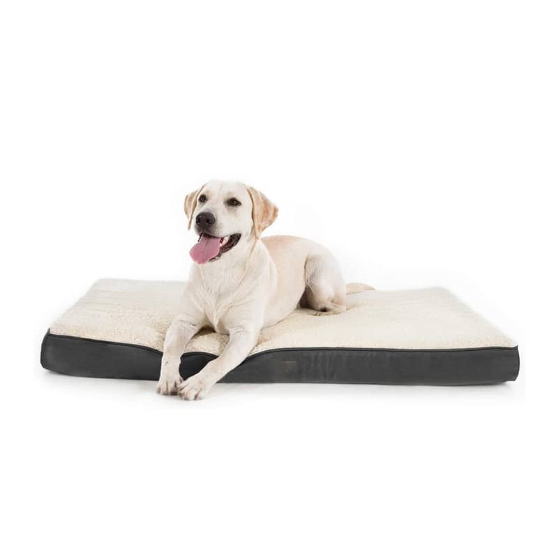 max hamster trockenfutter SnuggleSafe Heizkissen  Mikrowellen-Wrmeplatte