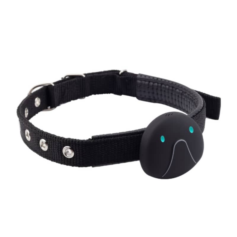 GPS Tracker Halsband Peilsender fr Hunde / Katze