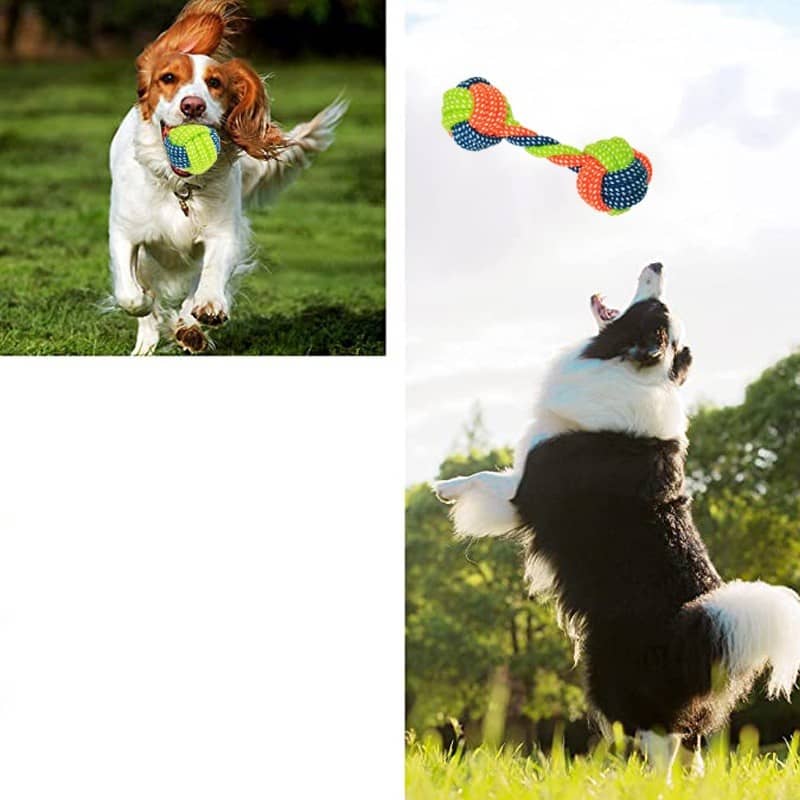 Interaktives Hundespielzeug Für Welpen – Mit Vogelgezwitscher & Seil
